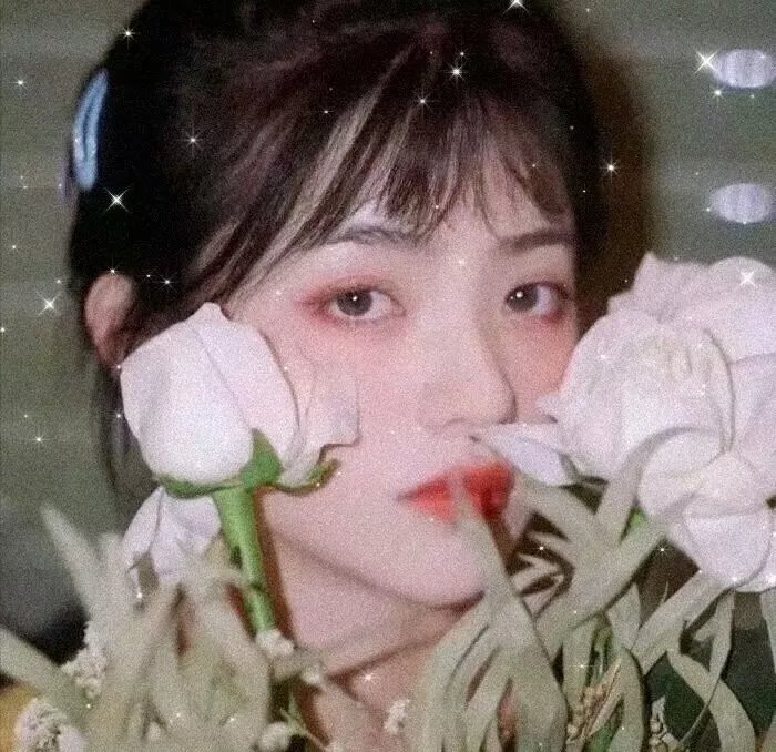 请别忧伤了二之宫君