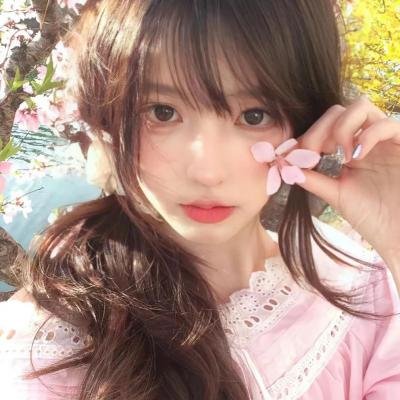 灵书妙探第四季